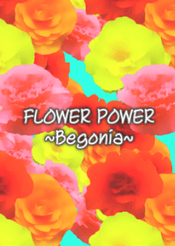 Flower Power,Begonia