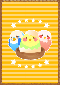I love parakeet