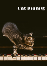 Cat pianist from Japan