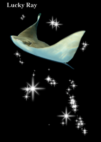 Lucky Ray