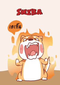 เอเท็น ใครไม่บะ ชิบะ 4 V14