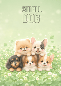 Kawiii Small Dog Gang In Clover Land