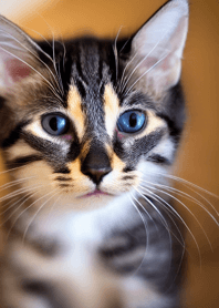 Nyanko Great Runaway#mabQAA213.