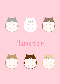 Super popular hamster collection