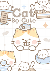 แมวส้มสุดน่ารัก!