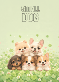 Cute Small Dog  In Clover Land