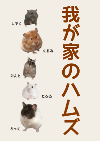 Our hamster theme Brown