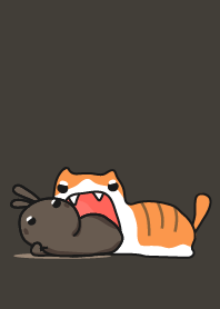 rabbit staring with cat