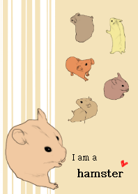 I am a hamster.