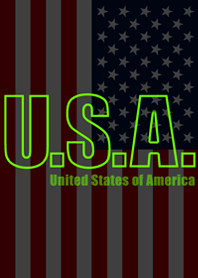 真夜中のニューヨーク ☆ U.S.A.