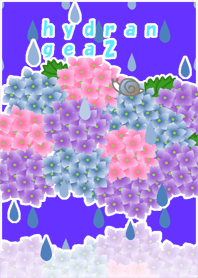 The rainy season(Hydrangea2)