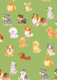 Is my dog here? 01 moss green