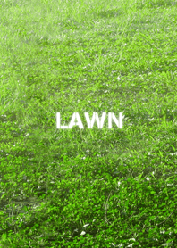 LAWN-芝生