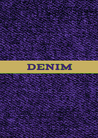 DENIM ICON THEME 15