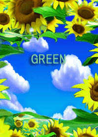 GREEN11 (Sunflower field & Summer sky)