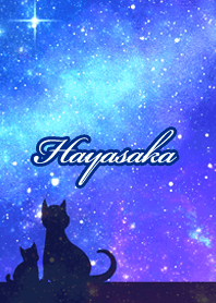 Hayasaka Milky way & cat silhouette