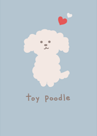 Cute toy poodle3.