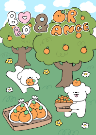 BOBO & ORANGE