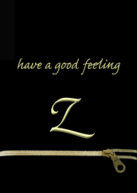 大人かわいい ジッパー イニシャル for Z