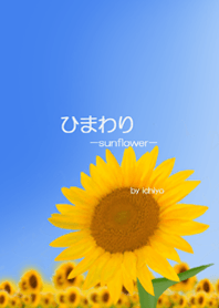 -ひまわり-