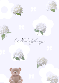 purple Pretty white hydrangea 03_1