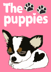The puppies(1)
