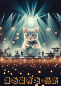 Meow's concert9_lb-Hairless Cat has Fur