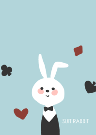Suit and rabbit
