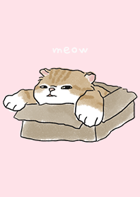 neko drawing2 - pink