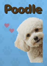 ธีมพุดเดิ้ลทอย Blue 05