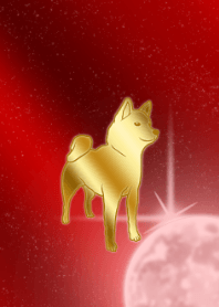 Zodíaco de ouro e cachorro vermelho-