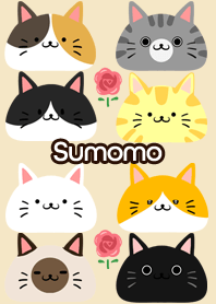 Sumomo Scandinavian cute cat3