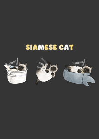 siamesecats5 - carbon