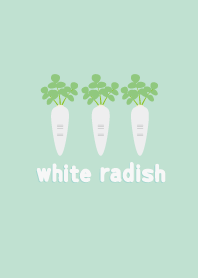 Three  japanese white radish