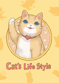 Cat's Lifestyle #3