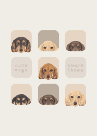 DOGS - dachshund L - BEIGE GRAY