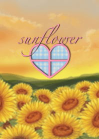 ทุ่งทานตะวันสีทองง