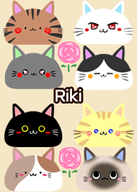 Riki Scandinavian cute cat4