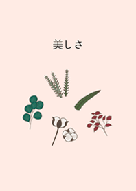 療癒乾燥花(櫻花粉紅色)