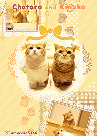 茶太郎ときなこ
