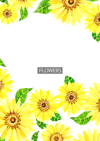 water color flowers_263