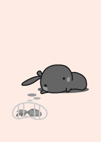rabbit staring-20