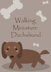 Walking Miniature Dachshund