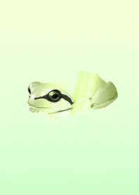 Thankful emerald frog