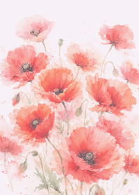 Elegant Poppy_white7