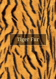 Tiger Fur 32