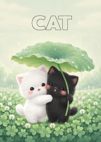 Cute Blak&White Cat On a rainy day