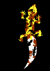 Leopard Camouflage Gecko