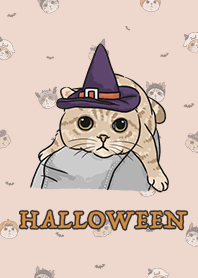 meow's halloween - sea shell
