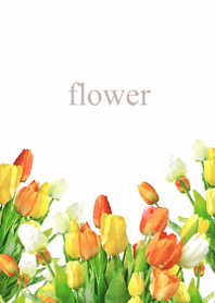 Light tulip fragrance5.